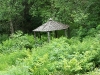 Gazebo in back yard